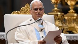 संत पापा लियो 14वें ने परमधर्मपीठ की जयंती पर पवित्र मिस्सा के दौरान प्रवचन देते हुए