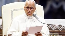 ലിയൊ പതിനാലാമൻ പാപ്പാ