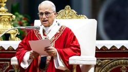 പത്രോസ് പൗലോസ് അപ്പസ്തോലന്മാരുടെ തിരുനാൾ ദിനത്തിൽ വചനസന്ദേശമേകുന്ന ലിയോ പതിനാലാമൻ പാപ്പാ