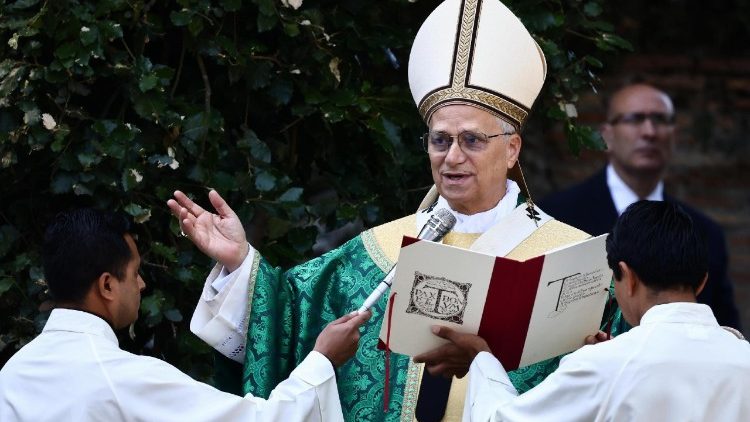 Papst Leo feiert eine Messe gemäß des neuen Messformulars zur Bewahrung der Schöpfung