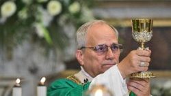 Pope Leo XIV leads Angelus prayer at Castel Gandolfo