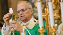 Папа Леў XIV. Ілюстрацыйнае фота