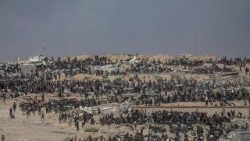 Palestinos recolhem alimentos em ponto de distribuição (Ansa)