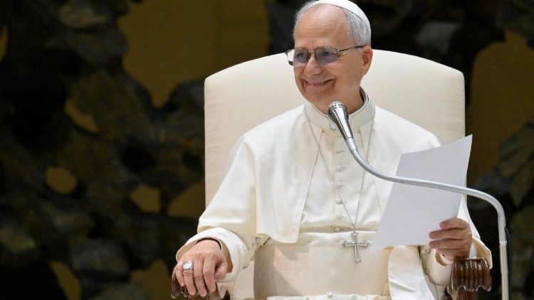 Il Papa, udienza in Aula, "ci proteggiamo dal caldo estremo"