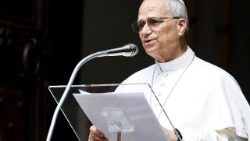 പരിശുദ്ധ പിതാവ് ലിയോ പതിനാലാമൻ പാപ്പാ,  മധ്യാഹ്ന പ്രാർത്ഥനാവേളയിൽ 