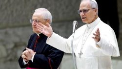 Pope Leo XIV� weekly general audience in Vatican