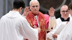 ലിയോ  പതിനാലാമൻ പാപ്പാ 