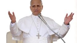 Udienza generale di Papa Leone a Piazza San Pietro