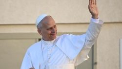 教宗主持週三公開接見活動