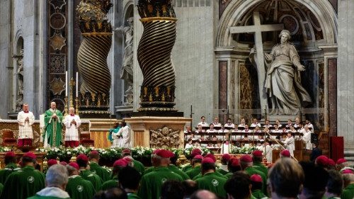 Leo an Synodenteams: „Helft uns, den kirchlichen Raum zu erweitern"