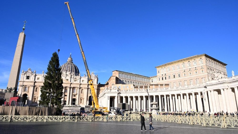 Vaticano, in Piazza San Pietro arriva l'albero di Natale