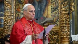 ലിയോ പതിനാലാമൻ പാപ്പാ