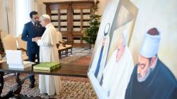 Il Papa con i membri della Commissione del "Zayed Award for Human Fraternity 2026"