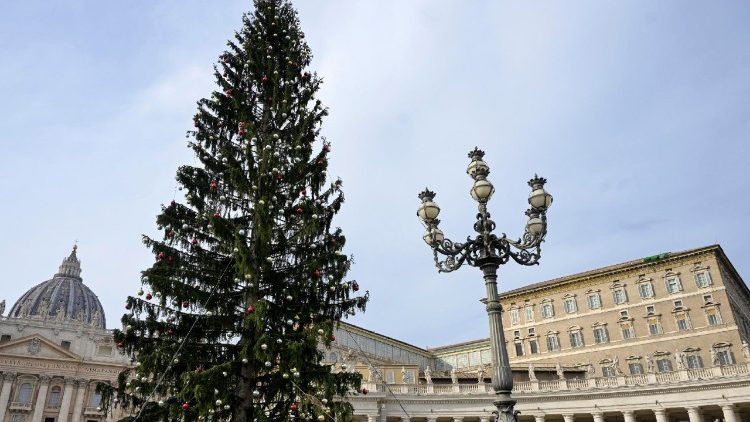 संत पेत्रुस महागिरजाघऱ के प्रांगण का क्रिसमस ट्री