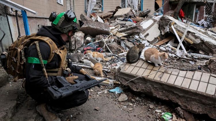 Uma foto divulgada pelo servi&ccedil;o de imprensa da 24&ordf; Brigada Mecanizada das For&ccedil;as Armadas da Ucr&acirc;nia em 22 de dezembro de 2025 mostra um militar observando dois gatos dom&eacute;sticos na cidade danificada de Kostiantynivka, na regi&atilde;o de Donetsk, Ucr&acirc;nia, em 20 de dezembro de 2025, em meio &agrave; invas&atilde;o russa em curso. EPA/PRESS SERVICE OF THE 24 MECHANIZED BRIDGE