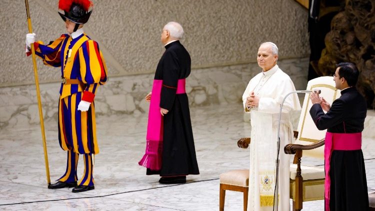 Papst Leo bei der Generalaudienz an diesem Mittwoch
