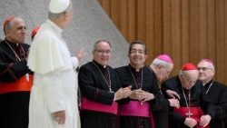 Papa Leone XIV in aula Paolo VI per l'udienza generale