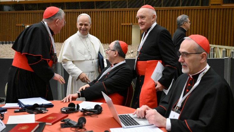 Pope Leo during the second day of the Consistory