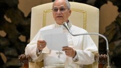 ಜಗದ್ಗುರು XIV ನೇ ಲಿಯೋರವರು