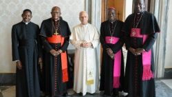 Papst Leo mit seinen afrikanischen Besuchern am 17. Januar im Vatikan