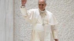 Papst Leo bei der Generalaudienz an diesem Mittwoch