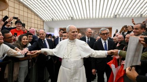 Le&oacute; p&aacute;pa felh&iacute;v&aacute;sa: A h&aacute;bor&uacute; &eacute;s az emberi m&eacute;lt&oacute;s&aacute;g tisztelet&eacute;nek hi&aacute;nya k&ouml;zepette im&aacute;dkozzunk a b&eacute;k&eacute;&eacute;rt