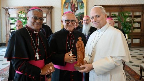 Papst Leo XIV. empf&auml;ngt Bisch&ouml;fe aus Puerto Rico