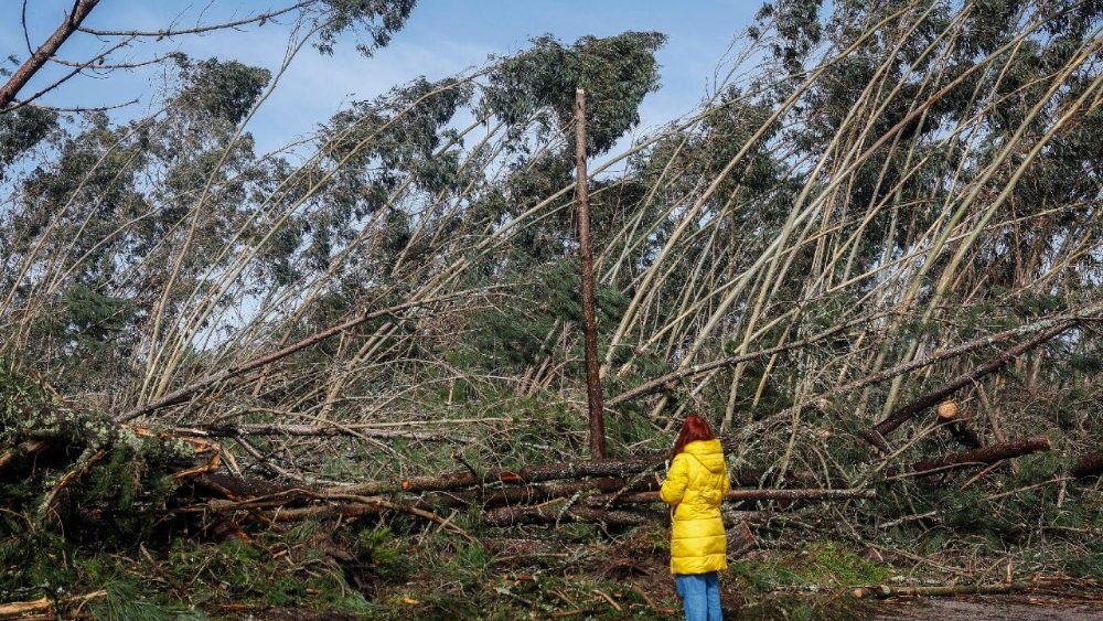 Efeitos do mau tempo na região de Leiria devido à passagem da depressão de Kristin, em Leiria, Portugal, 30 de janeiro de 2026. Portugal está a ser afetado pelos efeitos da passagem da depressão de Kristin, com chuva, vento, neve e mar agitado, tendo sido emitidos vários avisos pelo Instituto Português do Mar e da Atmosfera (IPMA). ANTONIO PEDRO SANTOS/LUSA EPA/ANTÔNIO PEDRO SANTOS