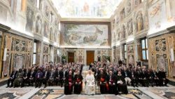 Il Papa incontra i partecipanti alla Plenaria della Pontificia Accademia per la Vita