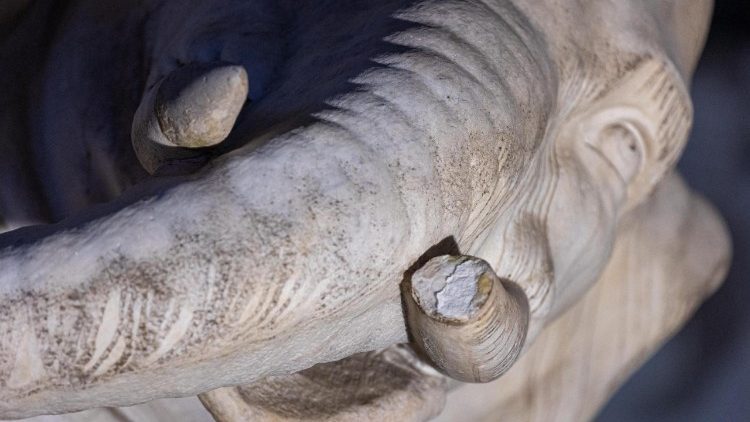 So schlimm sieht es aus.