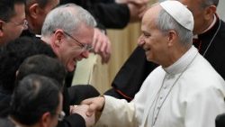 ಜಗದ್ಗುರು XIVನೇ ಲಿಯೋರವರು ರೋಮ್ ಡಯಾಸಿಸ್‌ನ ಯಾಜಕರನ್ನು ಭೇಟಿಯಾಗುತ್ತಾರೆ