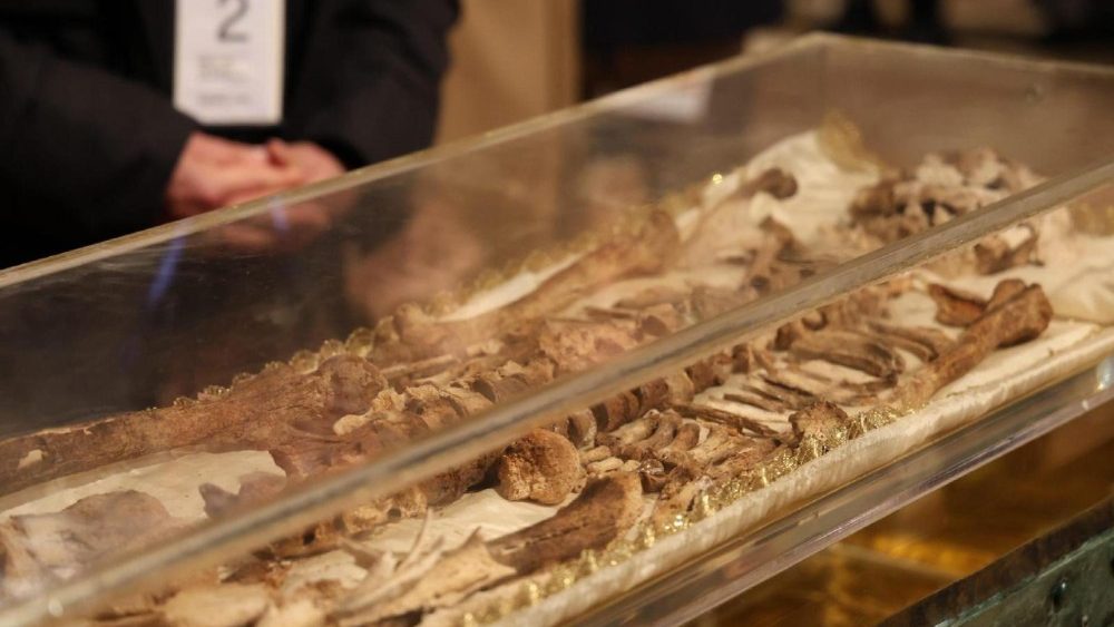 Выстаўленне рэліквій святога Францішка Асізскага