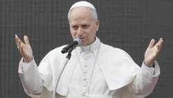 കൂടിക്കാഴ്ചാവേളയിൽ  ലിയോ പതിനാലാമൻ പാപ്പാ