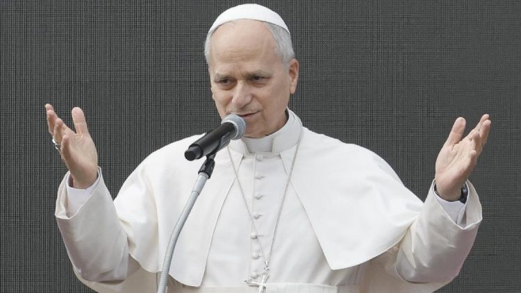 കൂടിക്കാഴ്ചാവേളയിൽ  ലിയോ പതിനാലാമൻ പാപ്പാ