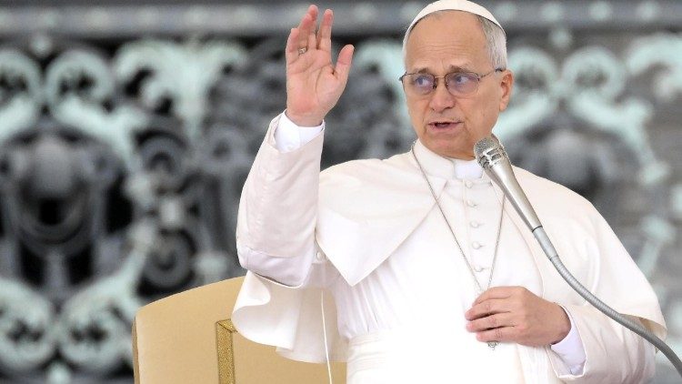 Pope Leo XIV leads the weekly general audience