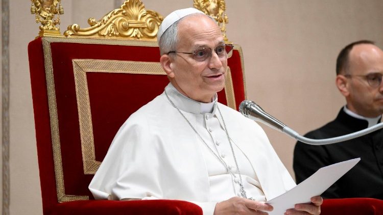 Papst Leo bei der Audienz