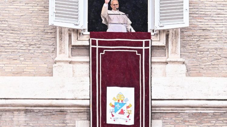 Il Papa, 'le guerre sono uno scandalo per la famiglia umana'