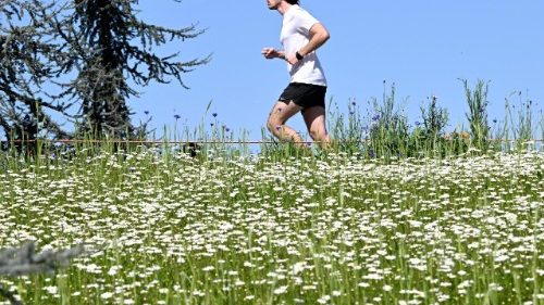 Papst Leo w&uuml;rdigt Sport, der Frieden f&ouml;rdert