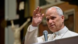Pope Leo XIV meets members of the 'Papal Foundation' in Vatican City