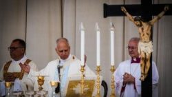 Il Papa, basta guerre, non possiamo rassegnarci alle immagini di morte