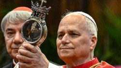 SCATTIDELGIORNO: 'Voglio fare un omaggio a San Gennaro', e il Papa bacia l'ampolla