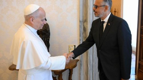 El Papa recibe en audiencia al primer ministro de Hait&iacute;