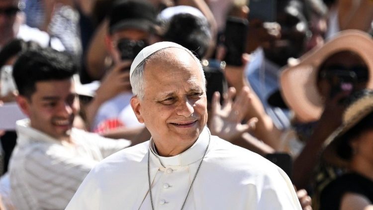Pope Leo leads the weekly General Audience
