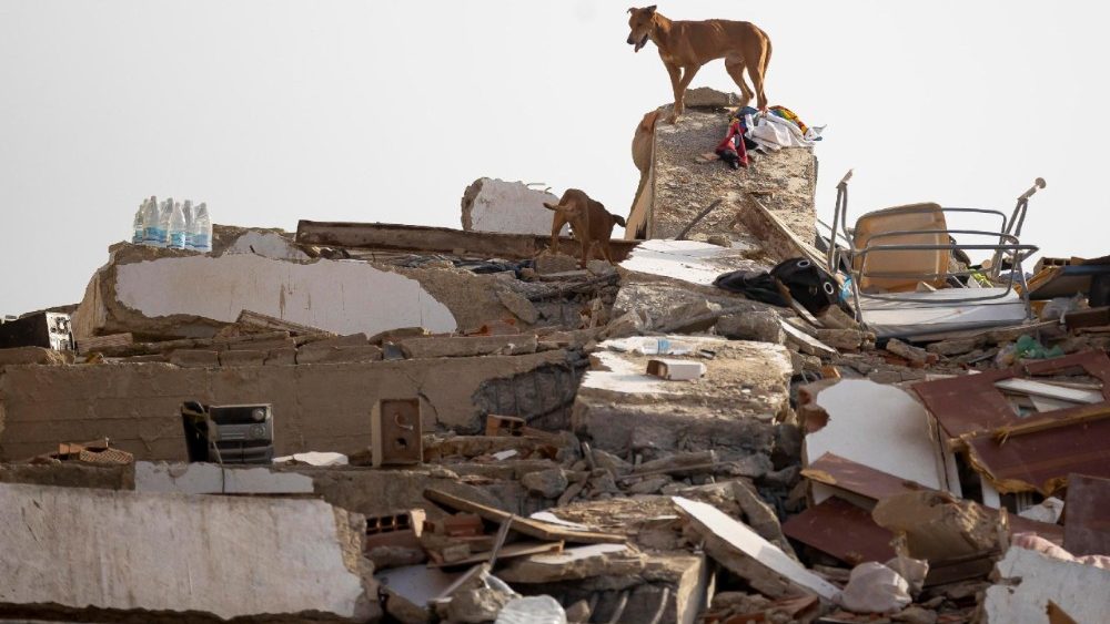 Um cachorro está em pé sobre os escombros de um prédio danificado em Catia la Mar, Venezuela, em 26 de junho de 2026. Dois terremotos de magnitude 7,2 e 7,5 atingiram a Venezuela em 24 de junho, segundo o Serviço Geológico dos Estados Unidos (USGS). EPA/RONALD PENA R