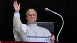 Il Papa, prego per vittime terremoto e popolo venezuelano, Dio lo sostenga