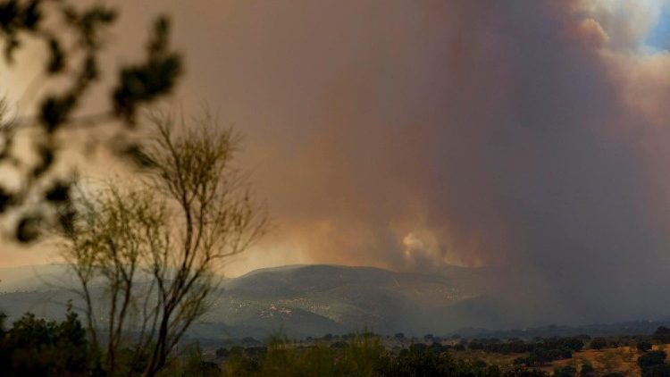 Los incendios forestales han forzado la evacuación de varias municipalidades 
