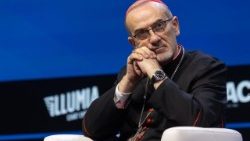 Кардынал П'ербатыста Піцабала на сустрэчы ў Рыміні 