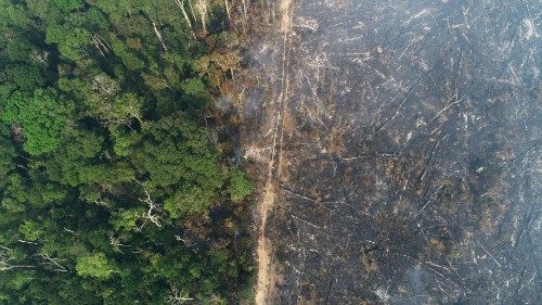 A tract of the Amazon jungle which burns as it is cleared by loggers and frmers near Apui