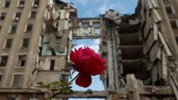 Rosa vermelha diante do Prédio do Conselho Regional em Mykolaiv, destruído por ataque russo