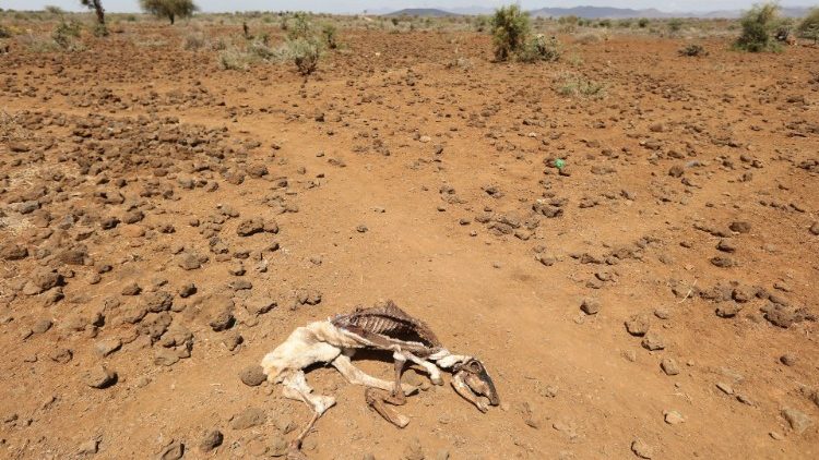 Klimawandel in Kenia
